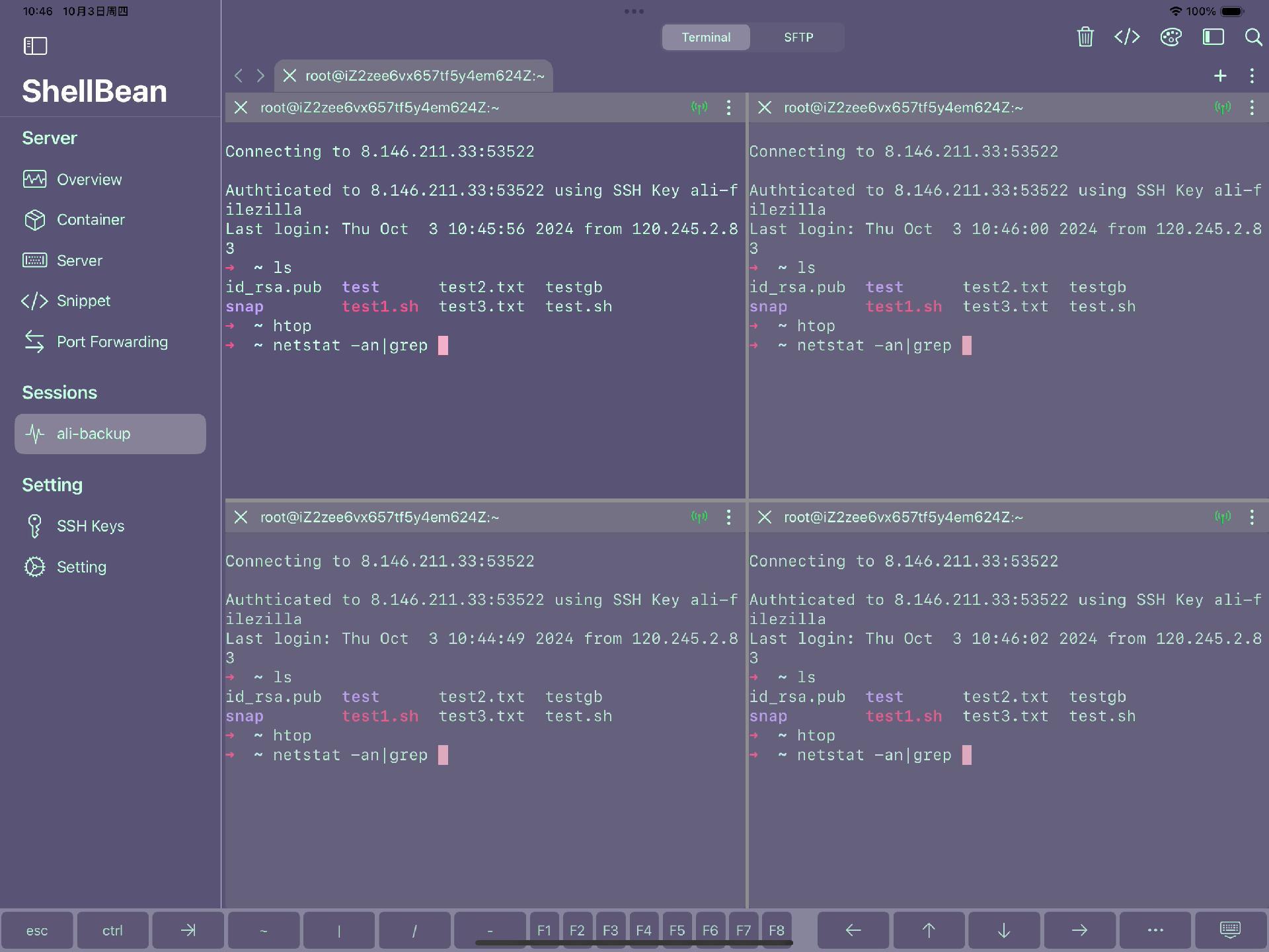 ShellBean iPad Terminal Split